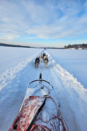 رياضات التزحلق على الجليد والماء