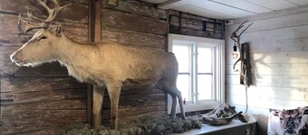 Ălrun Stuga by Interhome