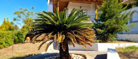 Terrain de l’hébergement