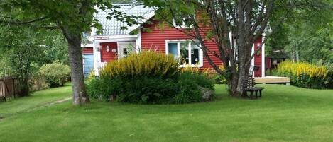 المنطقة المحيطة بالمنشأة