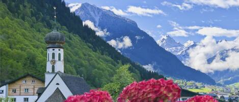 المنطقة المحيطة بالمنشأة