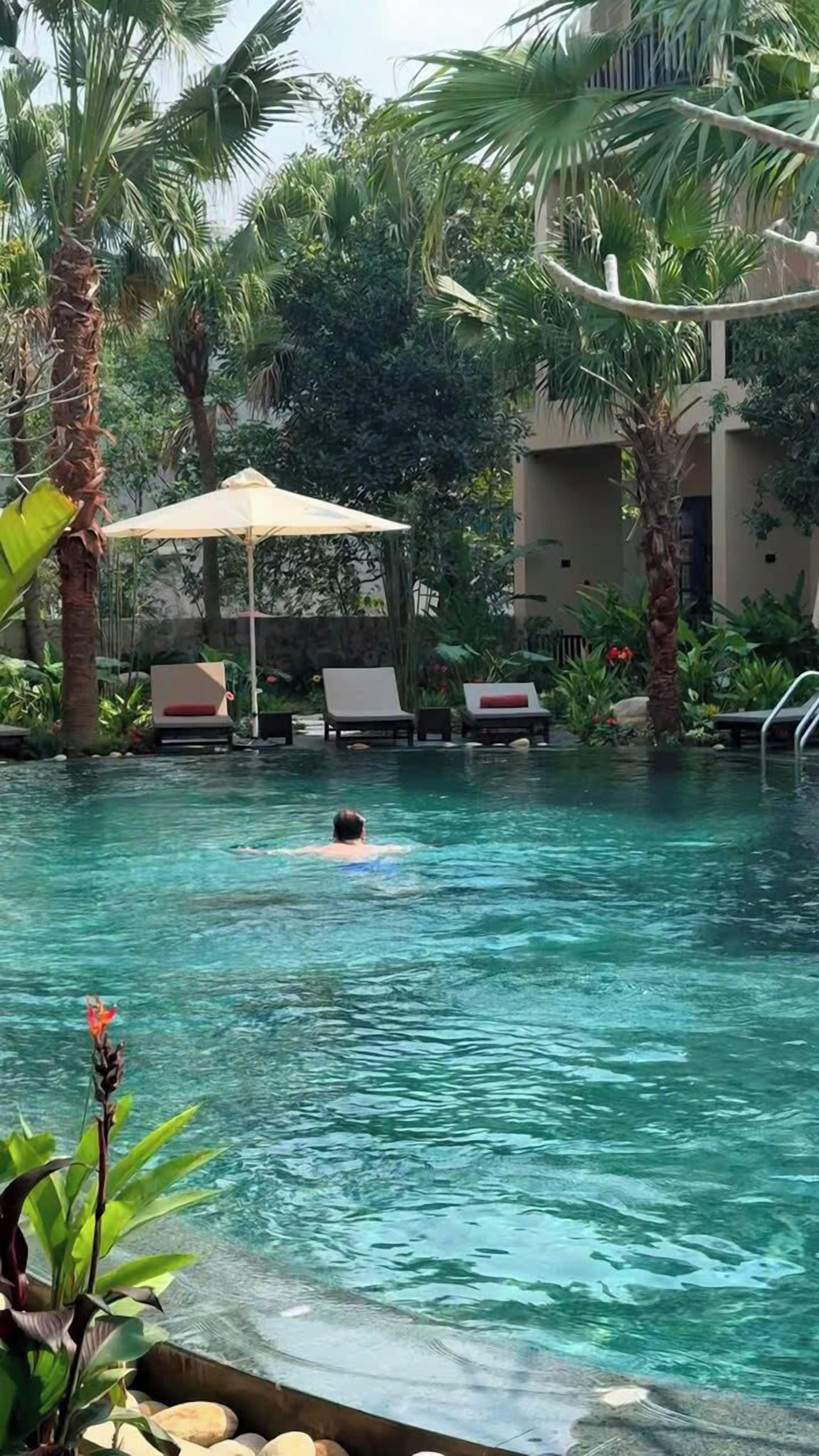 A swimming pool with a person swimming, surrounded by palm trees and lounge chairs.