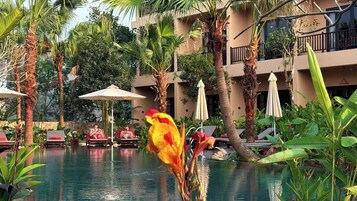 Outdoor pool, pool umbrellas, sun loungers