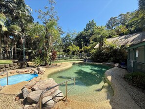 A pool area with clear water, surrounded by rocks and pebbles, and a pathway leading to a building with a green roof. - Tropic Oasis by Charlesworth (Coffs Harbour)