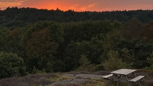 Un paysage boisé au coucher du soleil.