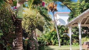 A garden with palm trees, a white gazebo, and a clear blue sky.