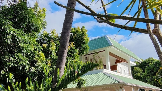 A two-story house with a green roof, surrounded by lush greenery and palm trees.