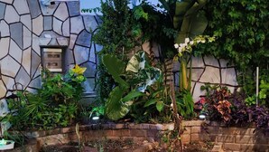 Un jardin avec une variété de plantes, un mur de pierre et un pot de fleurs au premier plan.