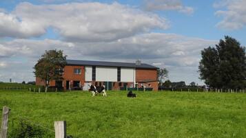 Overnatningsstedets område