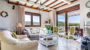 Televisor, llar de foc i reproductor de DVD