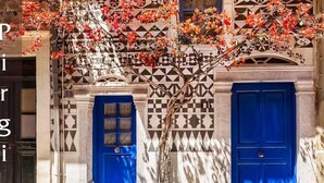 Detalle exterior