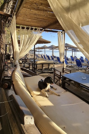 Restaurang utomhus