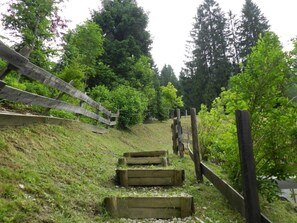 Property grounds - Martina top 2 by Interhome (Bad Kleinkirchheim)