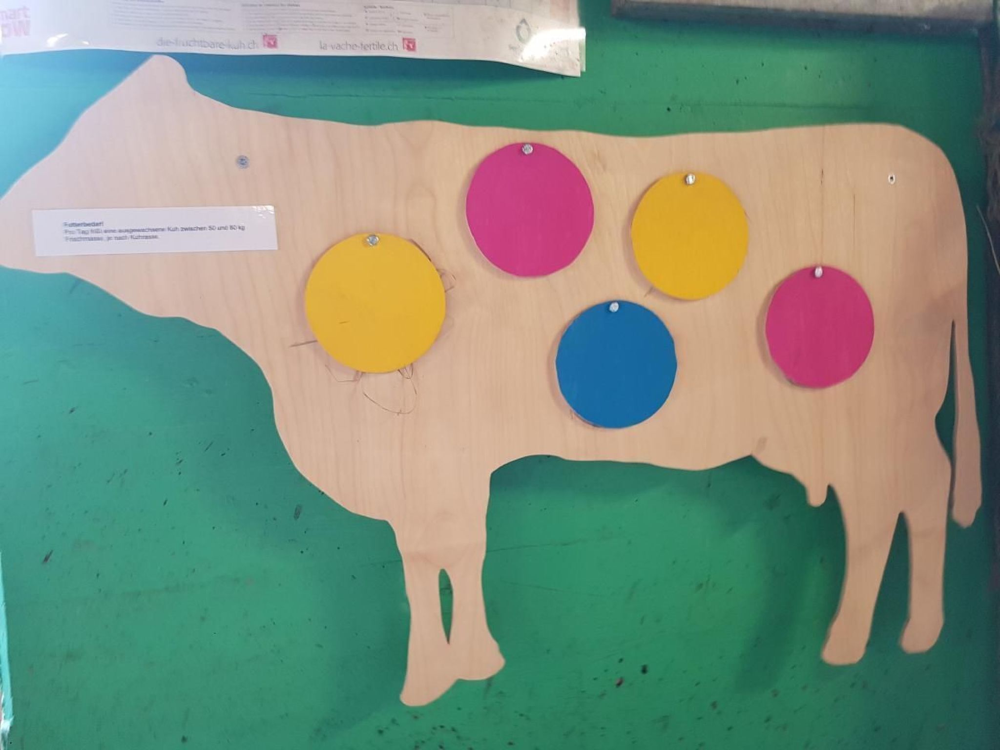 A wooden cow cutout with four colored circles attached to it.