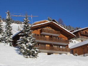 Exterior - Chalet Hasliblick 3081 4-Bettwohnung by Interhome (Hasliberg)