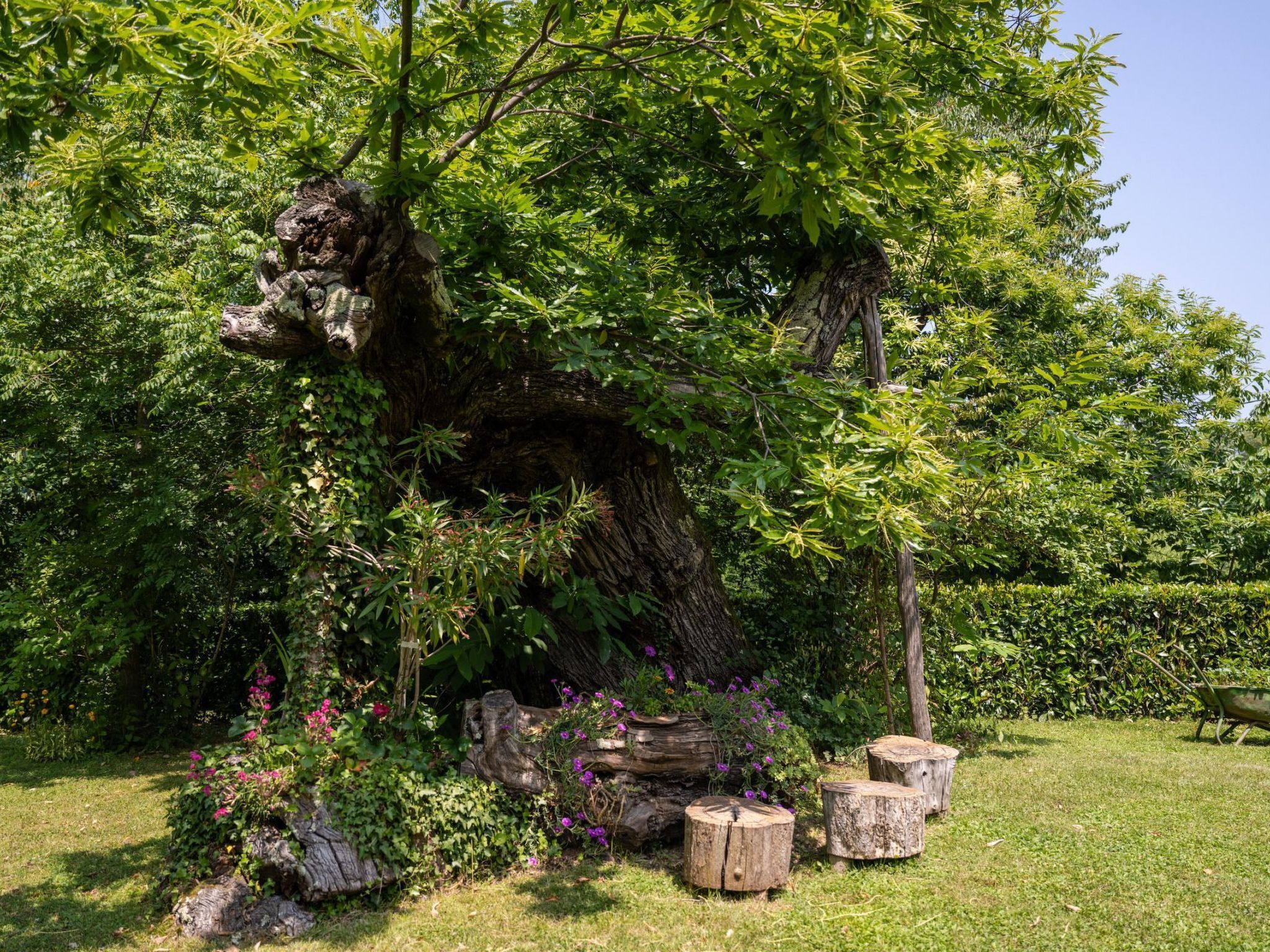 Overnattingsstedets uteområder