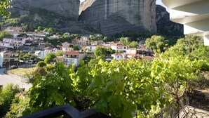 Vista desde la propiedad
