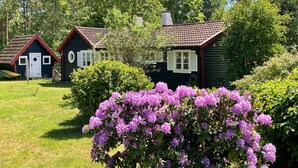 Een rij vakantiehuisjes met een gazon en bloeiende struiken.