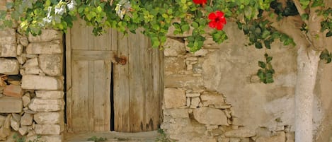 DĂ©tail de lâextĂ©rieur