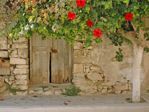 Detalle exterior