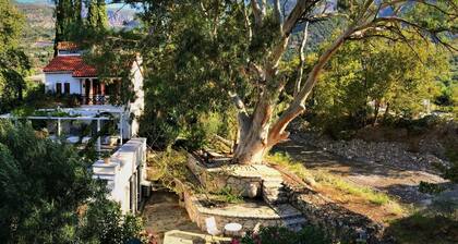 Spiti Louloudia by Interhome