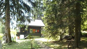 A cabin with a porch, surrounded by dense forest. - Maiensäss Romantica by Interhome (Châtel-Saint-Denis)