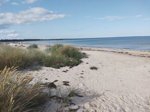 A sandy beach with sparse vegetation and a calm sea. - Källtorp 129 by Interhome (Ruda)