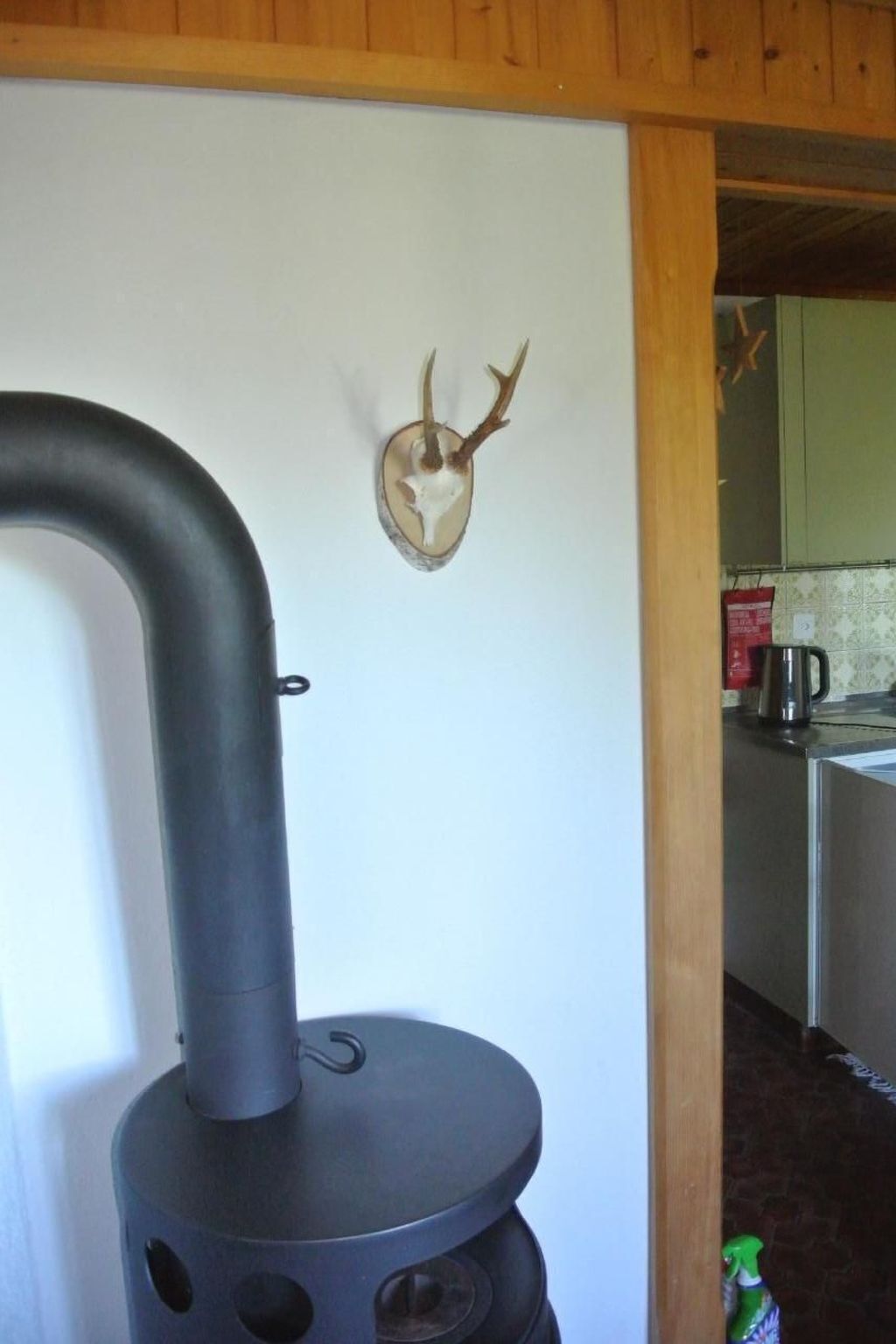 Una cocina con estufa, cráneo de venado en la pared y una botella de limpiador.
