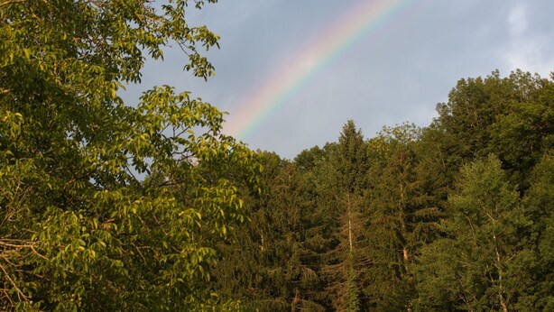 A forest with a rainbow. - Chateau Duplex Ferme by Interhome (Marnand)