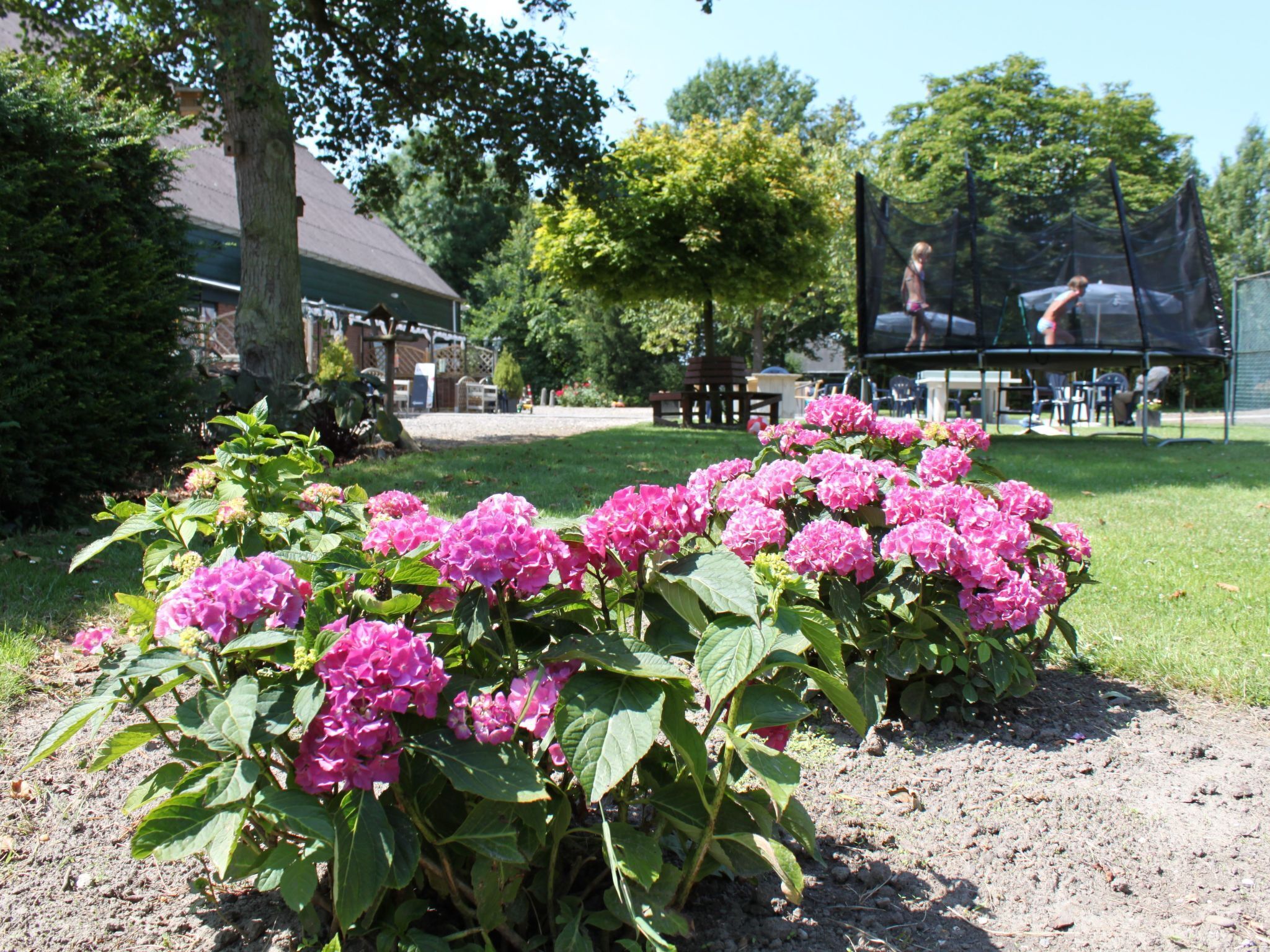 Enceinte de l’hébergement
