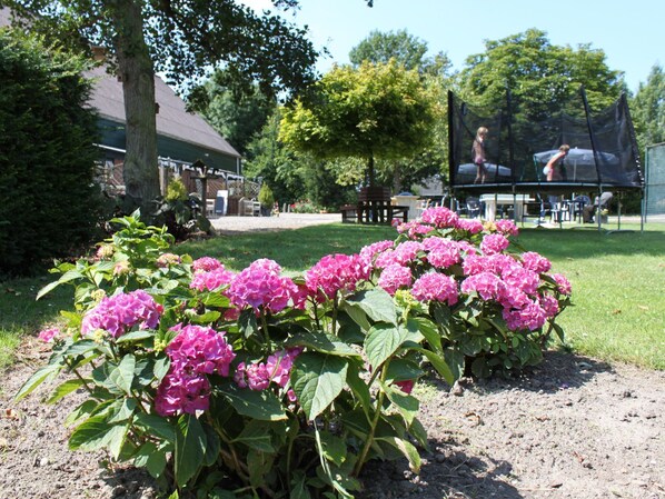 Terrein van de accommodatie