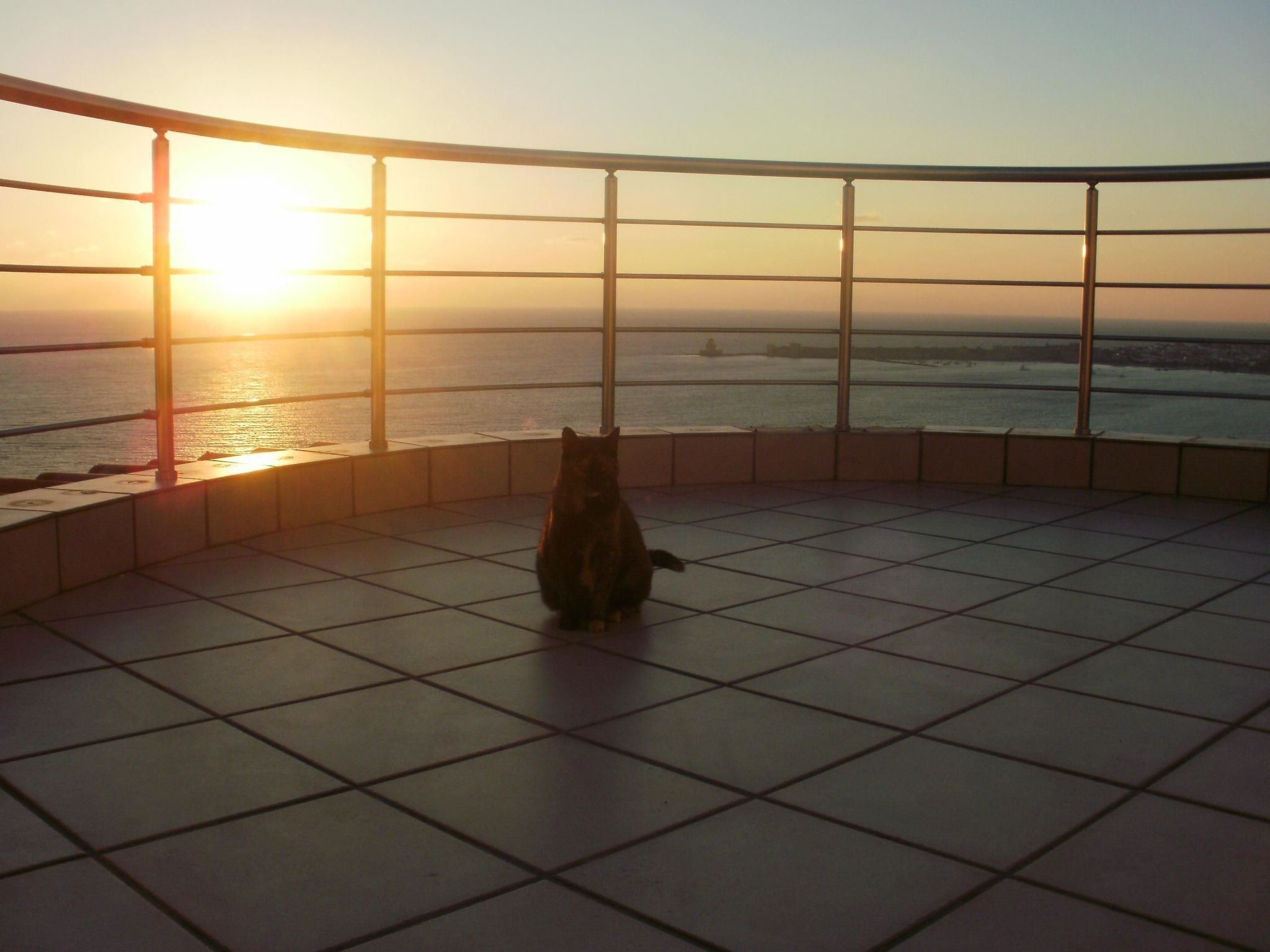 Vista des de l'allotjament
