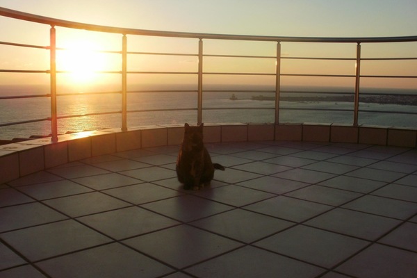 Blick von der Unterkunft