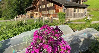 Schönenmatte by Interhome