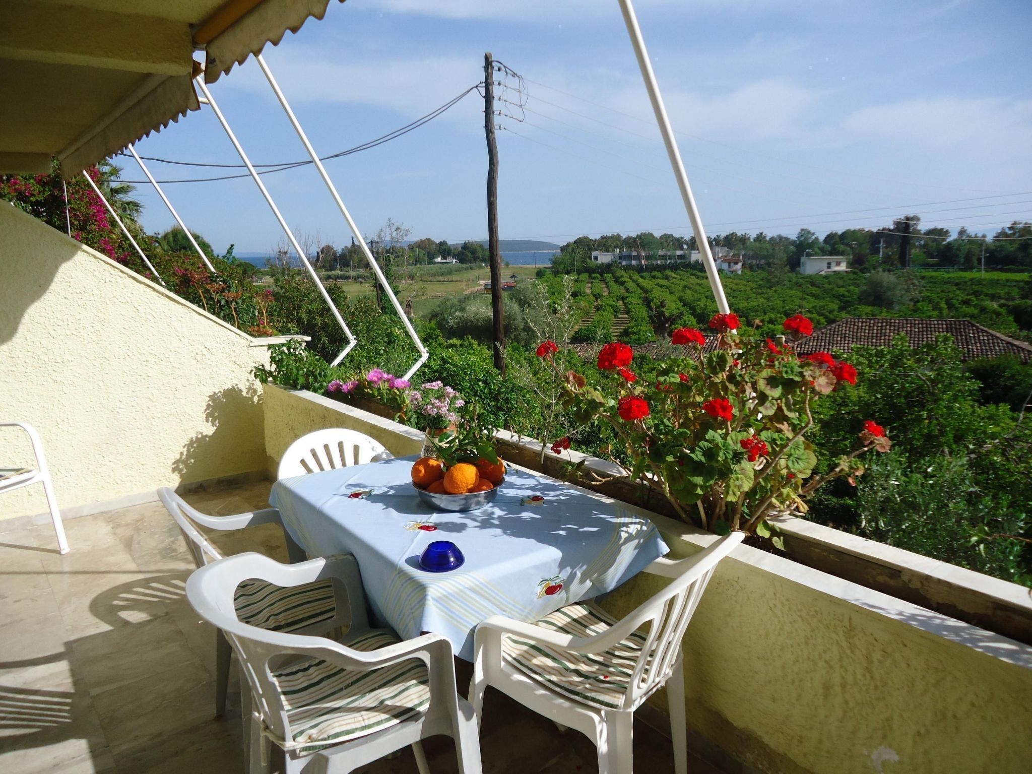 تناول الطعام بالخارج