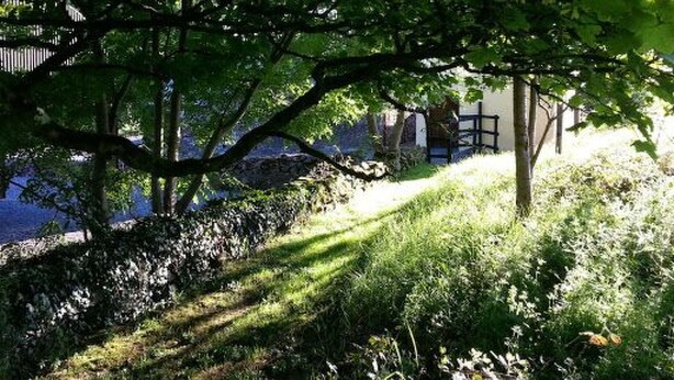 Property grounds - Cottage "James Tymon" mit Terrasse und Garten by Interhome (Dingle)