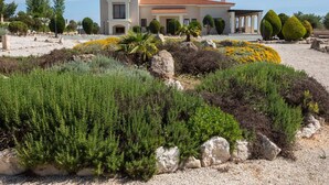 A modern two-story house with a Mediterranean-style roof, surrounded by landscaped gardens with various shrubs and a palm tree. - Villa mit Blick auf die Berge und Whirlpool by Interhome (Kathikas Village)