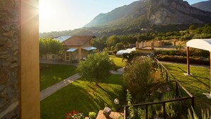 Property grounds - LandHausFelicia - Orchidea by Interhome (Giungano)