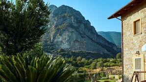 Property grounds - LandHausFelicia - Orchidea by Interhome (Giungano)