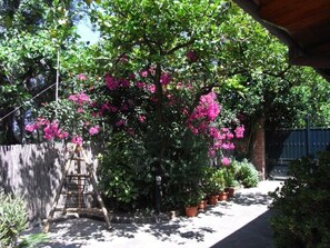 Property grounds - Appartamento EDERA by Interhome (Sorrento)