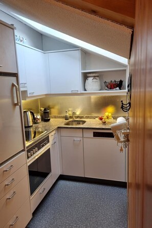 Fridge, microwave, oven, dishwasher - Hüttbödeli by Interhome (Brienz)