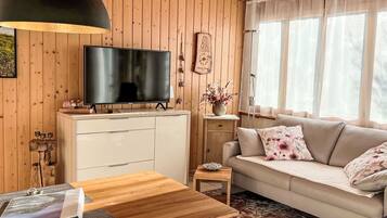 Fernseher