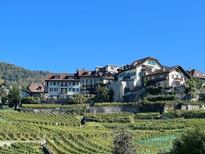 Exterior - Vigneronne, Vigne by Interhome (Montreux)