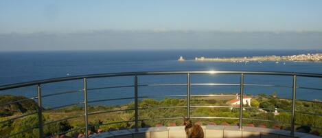 Àrea exterior de l'allotjament