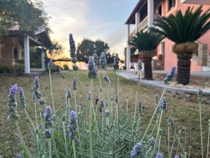 Property grounds - Apartment mit Meer- und Gartenblick - Genari Beach by Interhome (Leventochori)