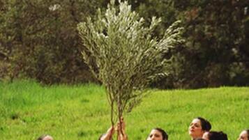 Espace banquet en plein air