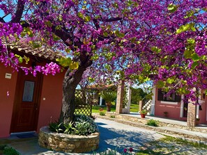 Property grounds - Cottage beachfront by Interhome (Leventochori)