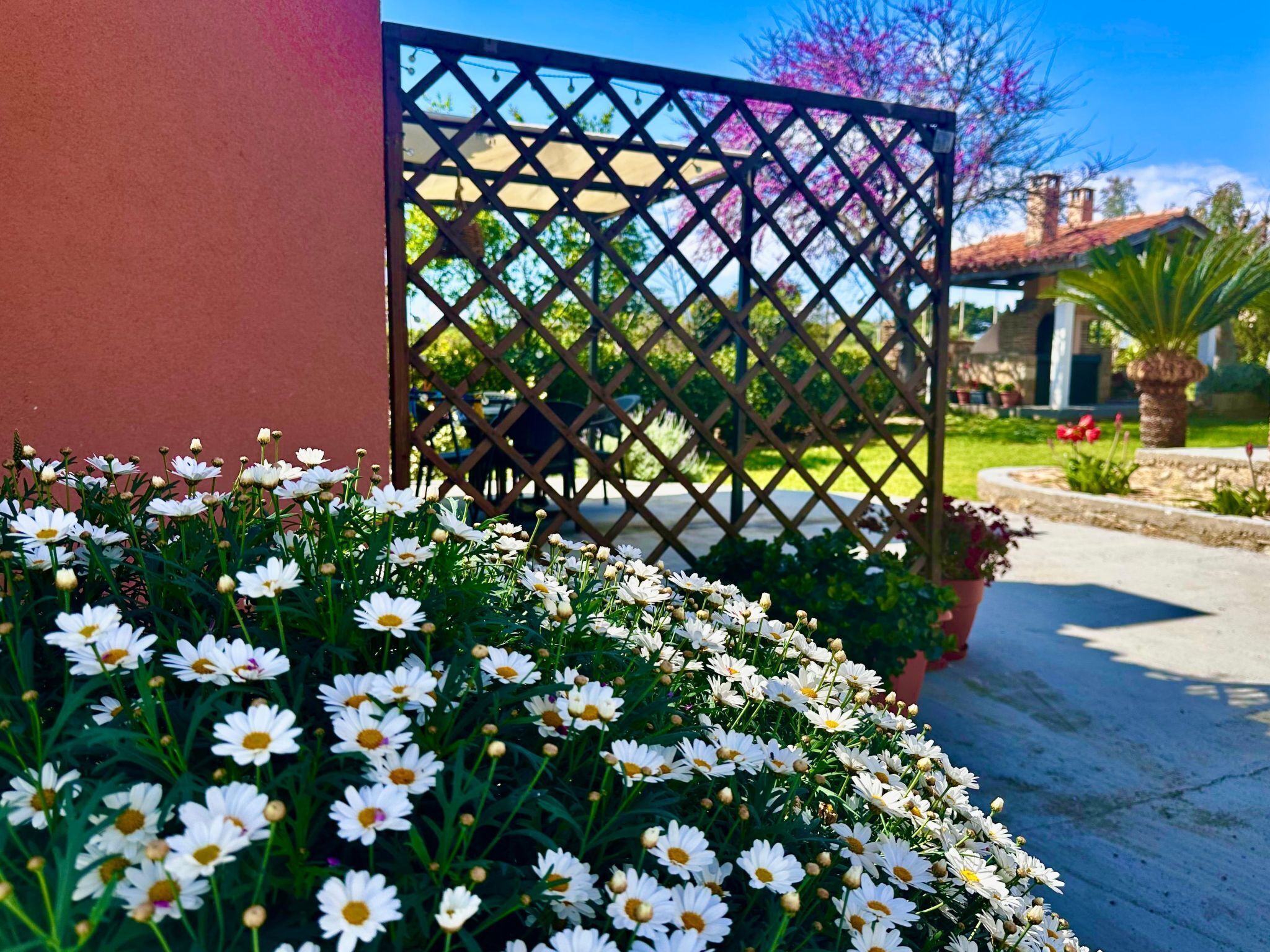 Overnattingsstedets uteområder