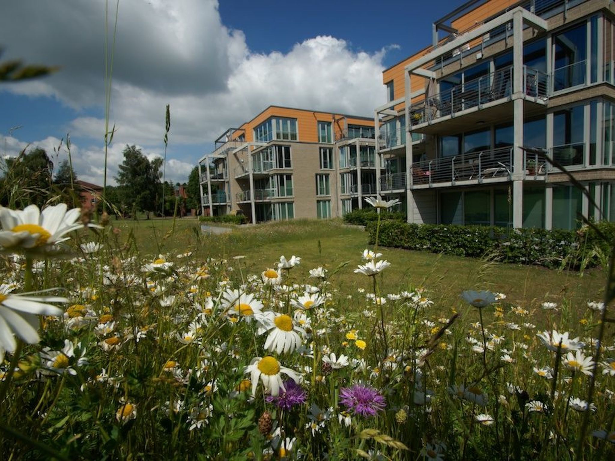 Jardines del alojamiento