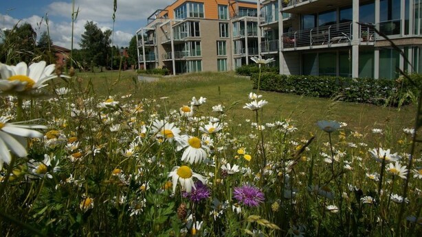 Een modern appartementencomplex met meerdere balkons en grote ramen.